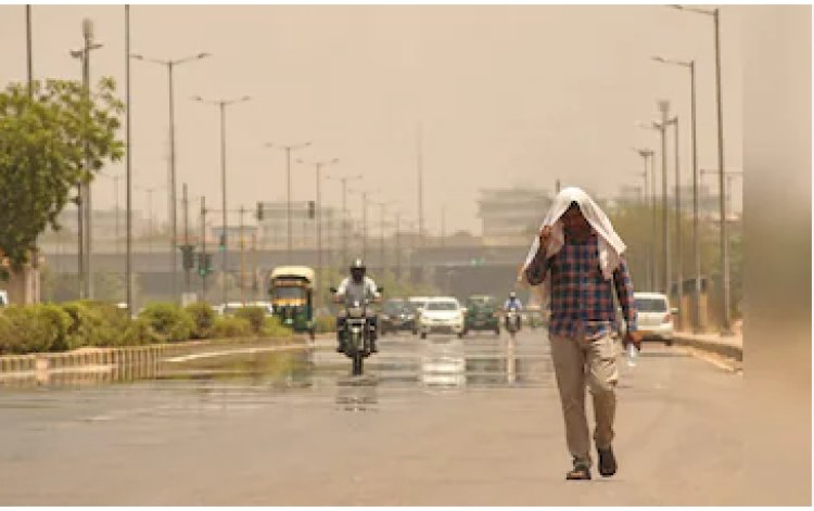 MP Weather: प्रदेश के 20 जिलों में लू का अलर्ट, कई जगह बारिश के आसार