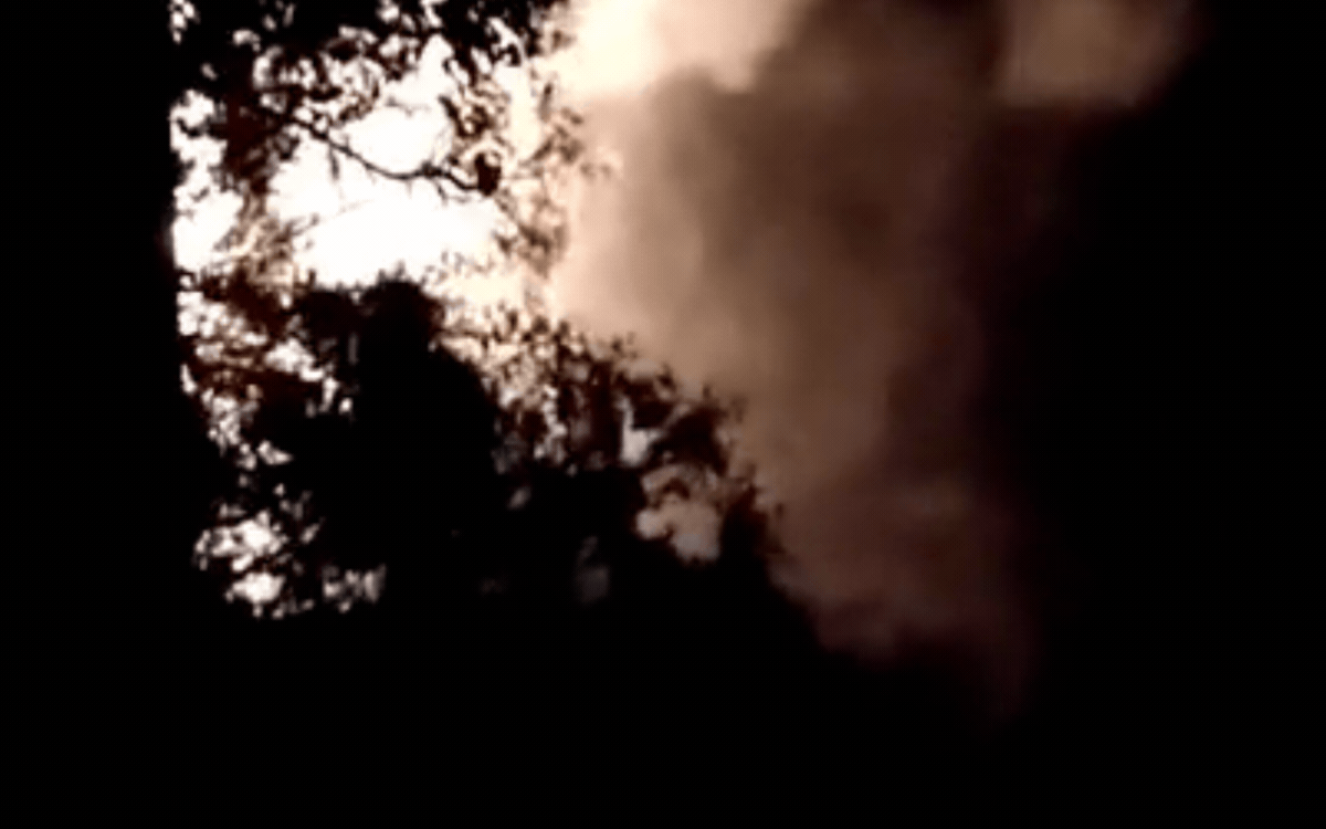 शॉर्ट सर्किट से लगी आग, 7 किसानों की 12 एकड़ गेहूं की फसल जलकर राख