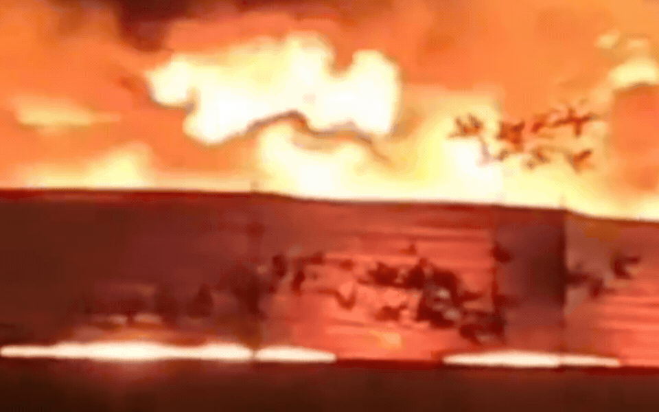 MP के पीथमपुर में केमिकल वेस्ट कंपनी में लगी भीषण आग