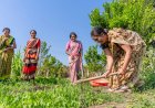 पहली बार “महिला किसान चौपाल” का आयोजन, अब खेती में महिलाओं की आवाज बनेगी ताकत
