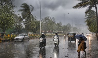MP में 4 दिन तक आंधी-बारिश का अलर्ट, 39 जिलों में 60 किमी/घंटा की तेज हवाएं