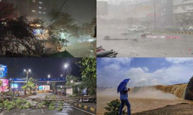 छत्तीसगढ़ में मौसम का कहर: रायपुर में उड़ें होर्डिंग्स-गिरे पेड़, 3 दिन आंधी-बारिश का अलर्ट