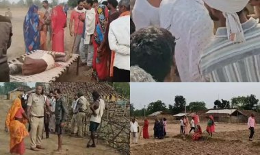 उमरिया में बाघ का कहर: आंगन में सो रही महिला को मारा, दो ग्रामीण घायल