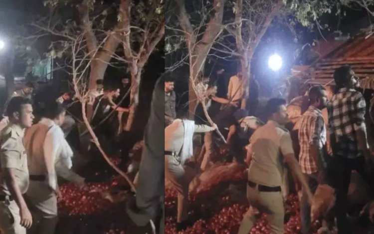 देवास: प्याज से भरा मिनी ट्रक पलटने से 3 मजदूरों की दर्दनाक मौत, 2 गंभीर घायल