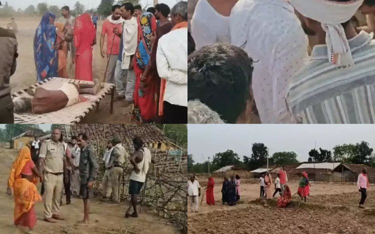 उमरिया में बाघ के हमले में महिला की मौत, CM ने किया 25 लाख रुपये मुआवजा का ऐलान