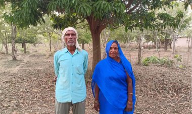 संतान नहीं हुई तो 10 हजार पेड़ों को बनाया परिवार, दंपती ने 105 एकड़ बंजर भूमि को हरे-भरे जंगल में बदला