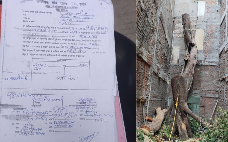 इंदौर में पेड़ कटाई पर निगम की बड़ी कार्रवाई, बिना अनुमति पेड़ काटने पर ₹1.5 लाख जुर्माना