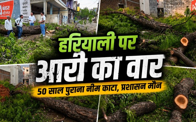शाजापुर में 50 साल पुराना नीम का पेड़ काटा गया, अवैध कटाई पर उठे सवाल
