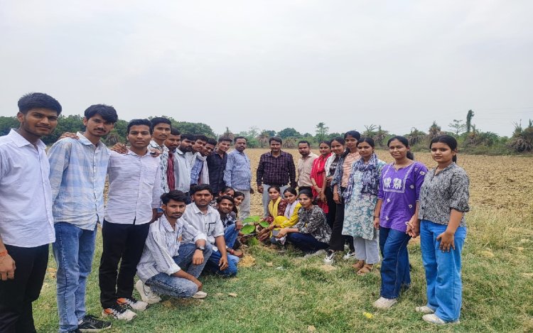 रीवा: पशुपालन कॉलेज में मनाया गया पर्यावरण दिवस, स्टूडेंट्स और टीचर्स ने लगाए पौधे