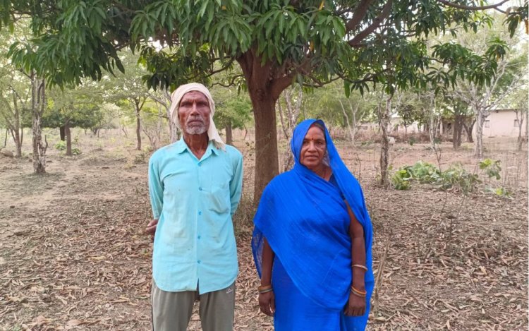 संतान नहीं हुई तो 10 हजार पेड़ों को बनाया परिवार, दंपती ने 105 एकड़ बंजर भूमि को हरे-भरे जंगल में बदला