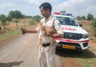 मानवता की मिसाल: ग्रामीणों और डायल-112 की सतर्कता से बची हिरण के शावक की जान