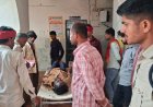 खेत में बोनी कर रहे किसानों पर गिरी बिजली, 2 लोगों की मौके पर ही मौत