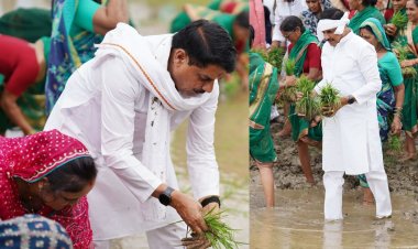 सिवनी में धान महोत्सव का शुभारंभ, मुख्यमंत्री डॉ. मोहन यादव ने किसानों के साथ खेत में रोपा धान