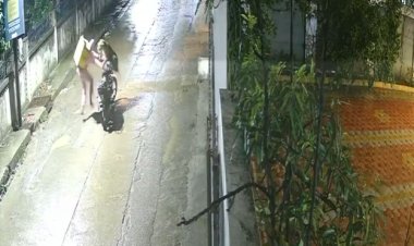 इंदौर के बिचौली क्षेत्र में तेंदुए की दस्तक, डिलीवरी बॉय पर हमले का CCTV वायरल; वन विभाग की तलाश जारी