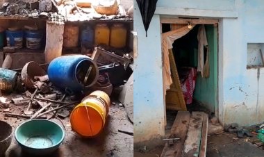 रीवा में हाथियों का आतंक, धुअर गांव में मकान तोड़ा; विधायक ने वन विभाग पर उठाए सवाल