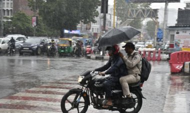 MP में अगले 4 दिन भारी बारिश का अलर्ट, 15 जिलों में मौसम विभाग ने जारी किया ऑरेंज और येलो अलर्ट