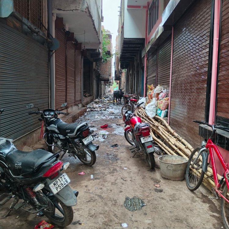 मऊगंज के हनुमना नगर की स्वच्छता अभियान की खुली पोल नरक से बदतर जिंदगी जीने को मजबूर लोग
