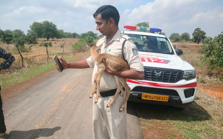 मानवता की मिसाल: ग्रामीणों और डायल-112 की सतर्कता से बची हिरण के शावक की जान
