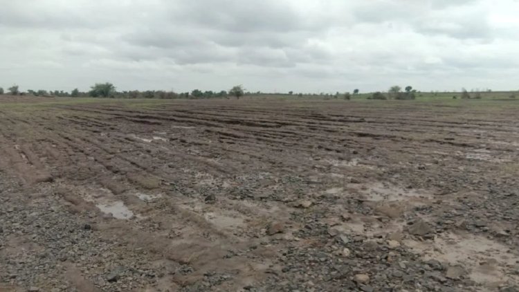 विदिशा: सिरोंज में वन विभाग की 1700 बीघा जमीन पर कब्जा, सड़क किनारे ट्रैक्टर से हो रही खेती; विधायक ने अधिकारियों पर उठाए सवाल