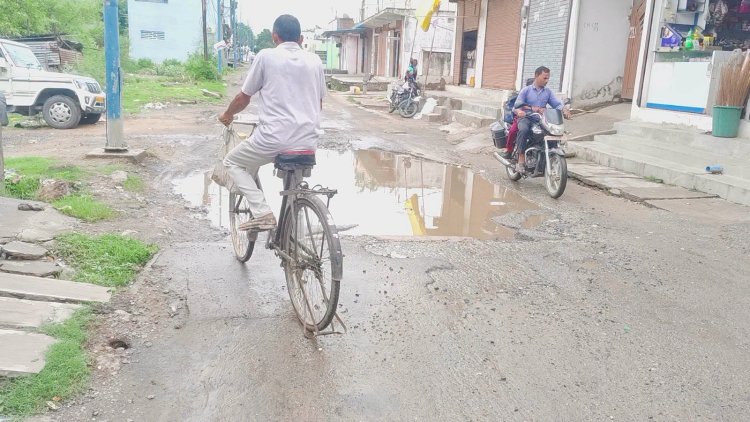 वीआईपी वार्ड भी जलभराव से बेहाल, नगर निगम की व्यवस्था पर उठे सवाल