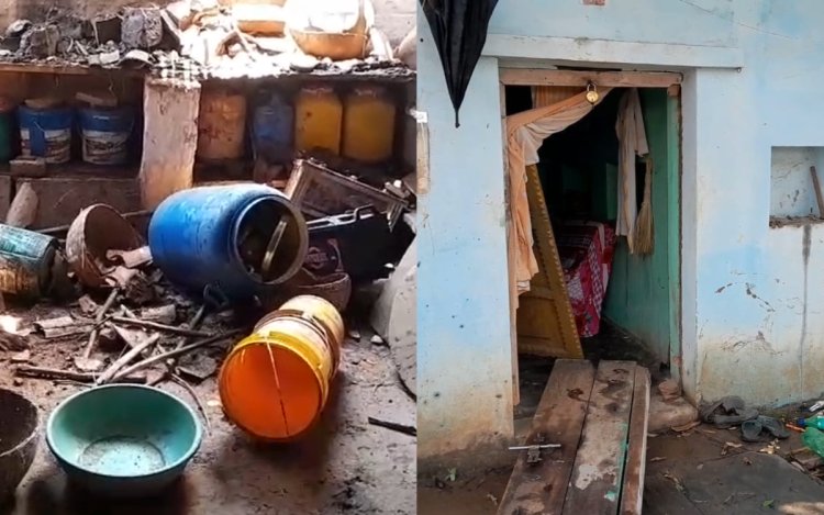 रीवा में हाथियों का आतंक, धुअर गांव में मकान तोड़ा; विधायक ने वन विभाग पर उठाए सवाल