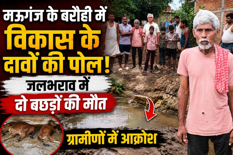 पहली बारिश में खुली विकास के दावों की पोल, जलभराव में दो बछड़ों की मौत