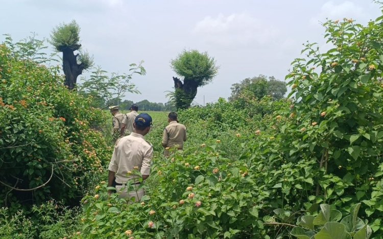 Shajapur: 10 साल के बच्चे की हत्या का 24 घंटे में खुलासा, हिरासत में नाबालिग आरोपी
