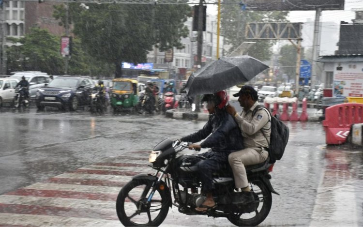 MP में अगले 4 दिन भारी बारिश का अलर्ट, 15 जिलों में मौसम विभाग ने जारी किया ऑरेंज और येलो अलर्ट