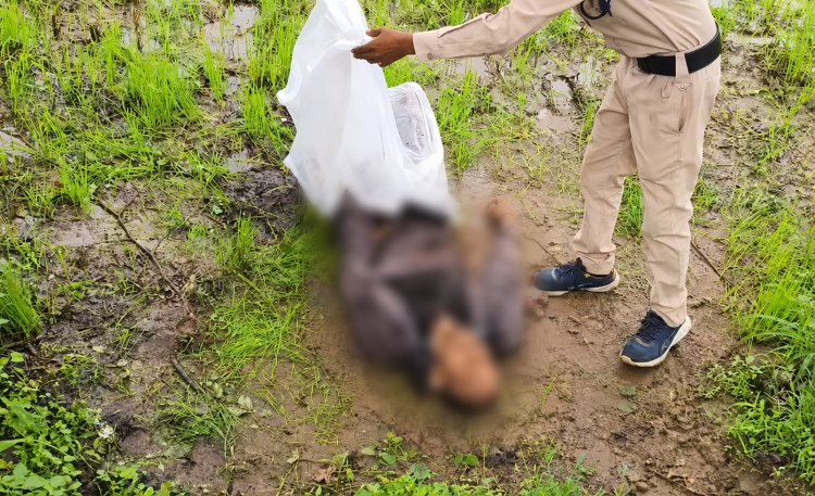 शहडोल में झाड़-फूंक करने आए बाबा की कुल्हाड़ी से हत्या, जादू-टोने के शक में फिर गई एक जान