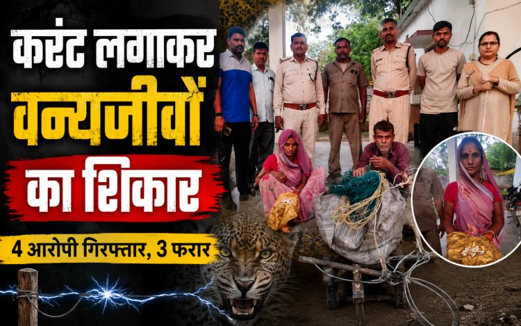 मैहर में करंट से वन्यजीवों का शिकार, तेंदुए के अवयव मिलने की आशंका, चार आरोपी गिरफ्तार