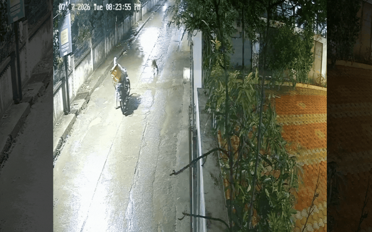 इंदौर के बिचौली क्षेत्र में तेंदुए की दस्तक, डिलीवरी बॉय पर हमले का CCTV वायरल; वन विभाग की तलाश जारी