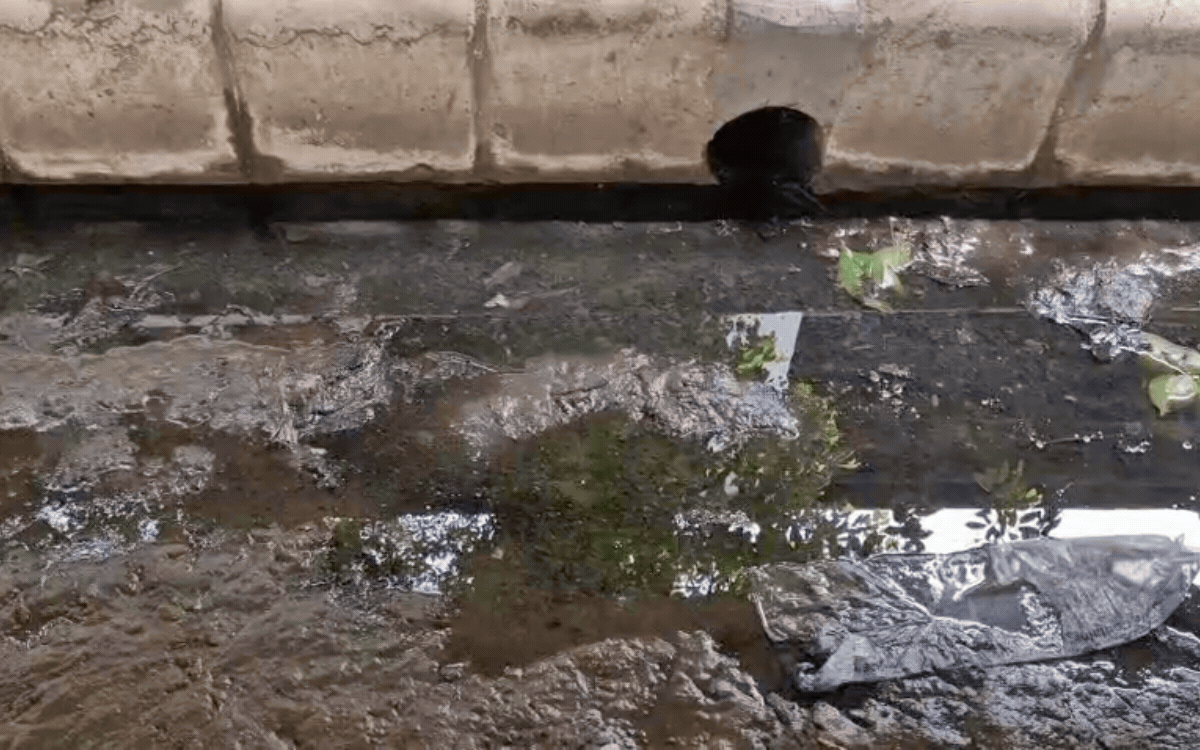 Rewa Dengue News: मानसून के साथ बढ़ा डेंगू का खतरा, स्वास्थ्य विभाग अलर्ट