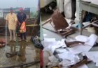 घर में घुसा विशाल धामन सांप, मचा हड़कंप