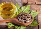 Castor Oil Benefits : त्वचा और बालों के लिए वरदान अरंडी का तेल, जानिए क्या है इसके फायदे
