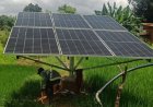 Bio Solar Technology : क्या है Bio Solar टेक्नोलॉजी? जानें कैसे इससे बढ़ जाती है सोलर पैनल की ताकत