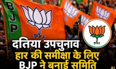 दतिया उपचुनाव की हार की समीक्षा करेगी बीजेपी, हेमंत खंडेलवाल ने बनाई दो सदस्यीय समिति