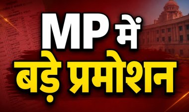 MP वाणिज्यिक कर विभाग में बड़े स्तर पर प्रमोशन, चार कैटेगरी के अधिकारियों को मिली पदोन्नति