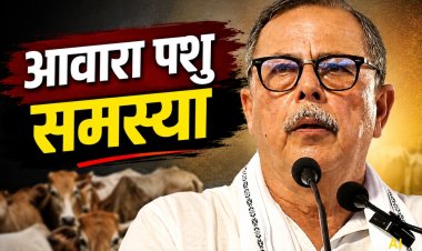 आवारा पशुओं की समस्या पर अजय सिंह का सरकार पर हमला, बोले- विधानसभा के आश्वासन खोखले साबित हुए