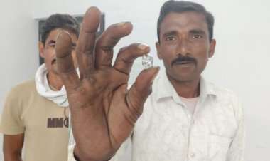 Panna: बारिश के बाद मलबे में चमका 16.96 कैरेट का हीरा, कीमत करीब 1 करोड़ रुपए