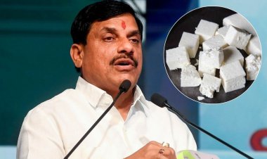 MP में भी एनालॉग पनीर बैन, CM डॉ. मोहन यादव ने दिए कार्रवाई के निर्देश