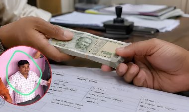 Bhopal Lokayukta Action : भोपाल लोकायुक्त का एक्शन, रिश्वत लेते महिला पटवारी सीमा दांगी और सहायक ट्रैप