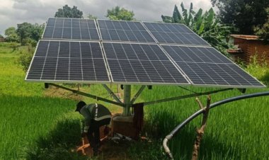 Bio Solar Technology : क्या है Bio Solar टेक्नोलॉजी? जानें कैसे इससे बढ़ जाती है सोलर पैनल की ताकत