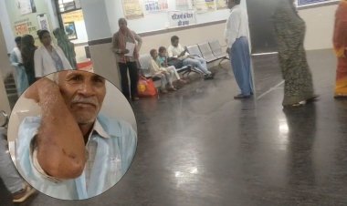 Mauganj में पागल कुत्ते का आतंक, दो घंटे में 16 लोगों को काटा; गांव में दहशत