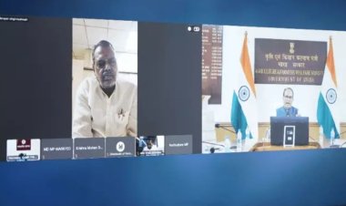 MP Moong Procurement : मप्र में मूंग खरीद ने बनाया रिकॉर्ड, 5.33 लाख टन से ज्यादा खरीदी; केंद्रीय मंत्री ने की समीक्षा