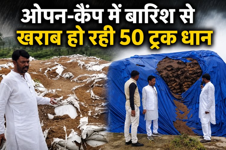 डिंडोरी में बारिश में खराब हो रही 50 ट्रक धान, अधिकारी बोले- 5-6 साल पुरानी है