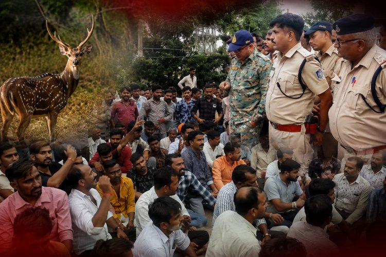 हिरण के शिकार के आरोप के बाद थाने में मारपीट का मामला, थाना प्रभारी हटाने की मांग पर हिंदू संगठनों का धरना