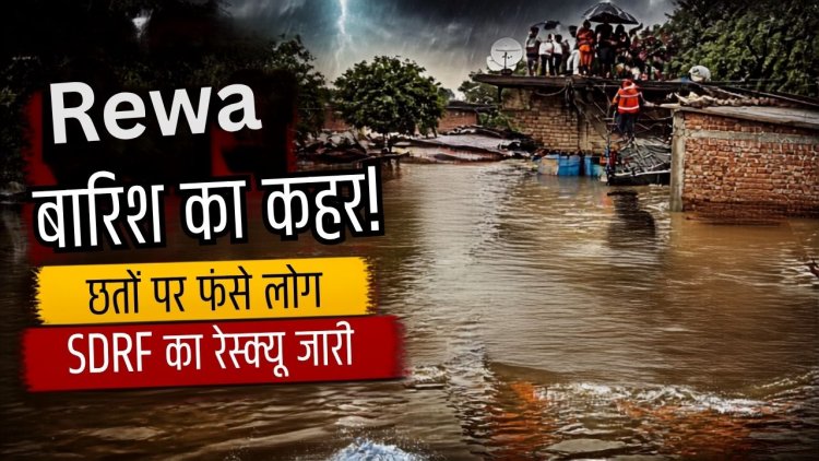 रीवा में मूसलाधार बारिश से बाढ़ के हालात, छतों पर फंसे लोग