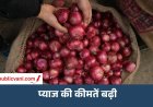 प्याज के दाम में उछाल: 3 महीने में ₹30 से ₹54 किलो पहुंची कीमत, जल्द राहत के आसार