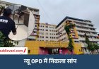 न्यू OPD में निकला सांप: इंदौर के MY अस्पताल में मचा हड़कंप, खिड़की से आया था अंदर
