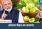 Amla Benefits : आंवला क्यों है सेहत के लिए खास? जानें इसके फायदे
